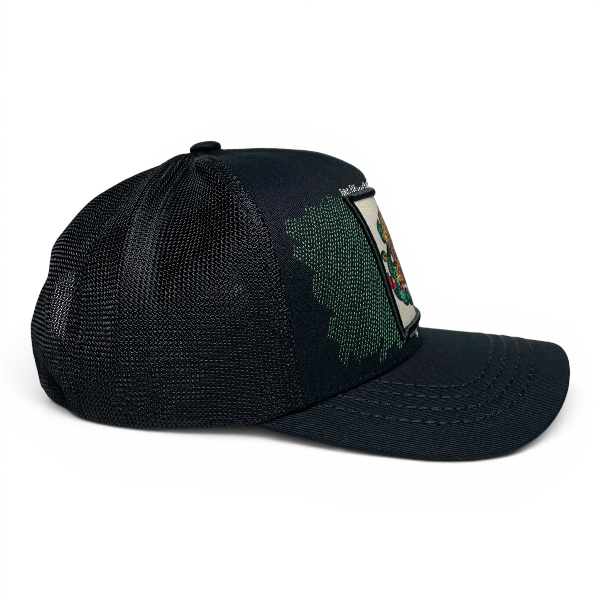 Mexico Eagle Chingon Embroidered Snapback Baseball Cap, Curved Brim