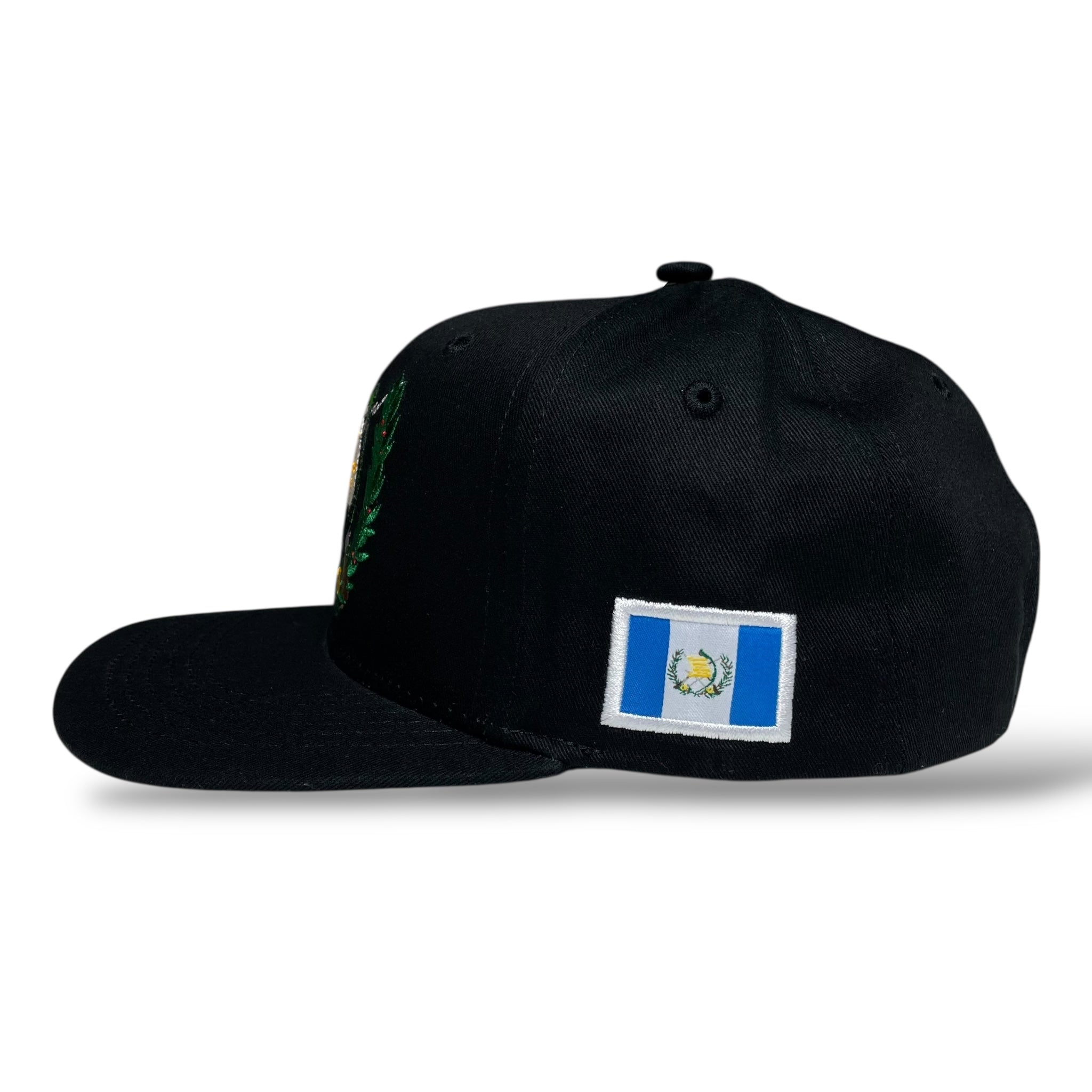Guatemala Flag Embroidered Snapback Cap Flag Under Visor Adjustable