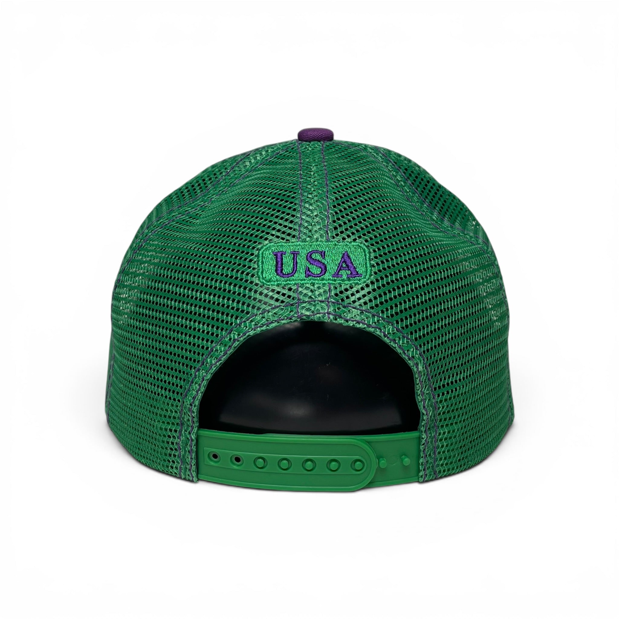 United States America USA Flag Bison Buffalo Patch Snapback Cap