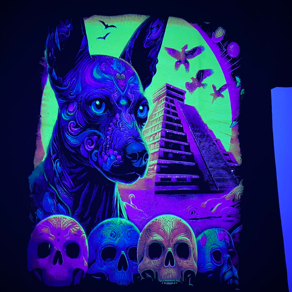 Xoloitzcuintle Mexican Aztec Dog T Shirt Print Glow in Neon and Black light