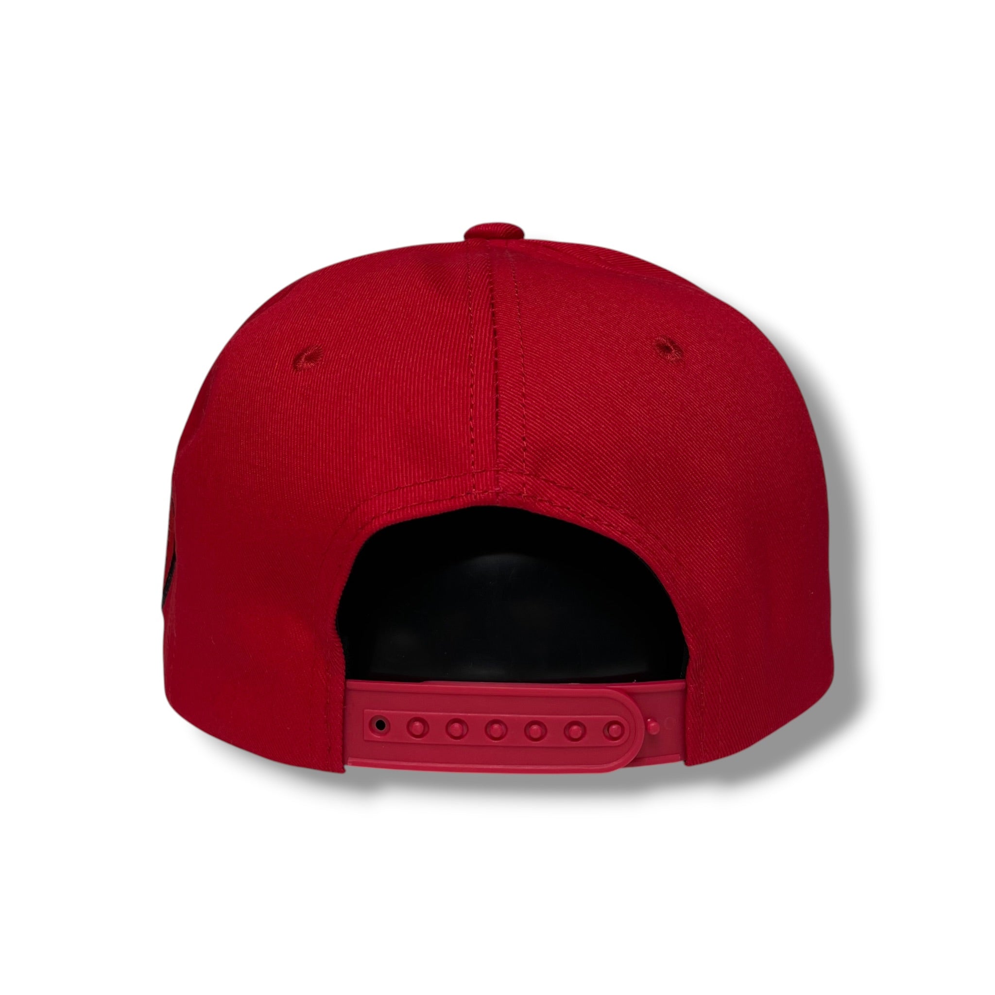 Gorra Los Cochos de Guerrero Mexico, Snapback, Visera Plana, Bordado