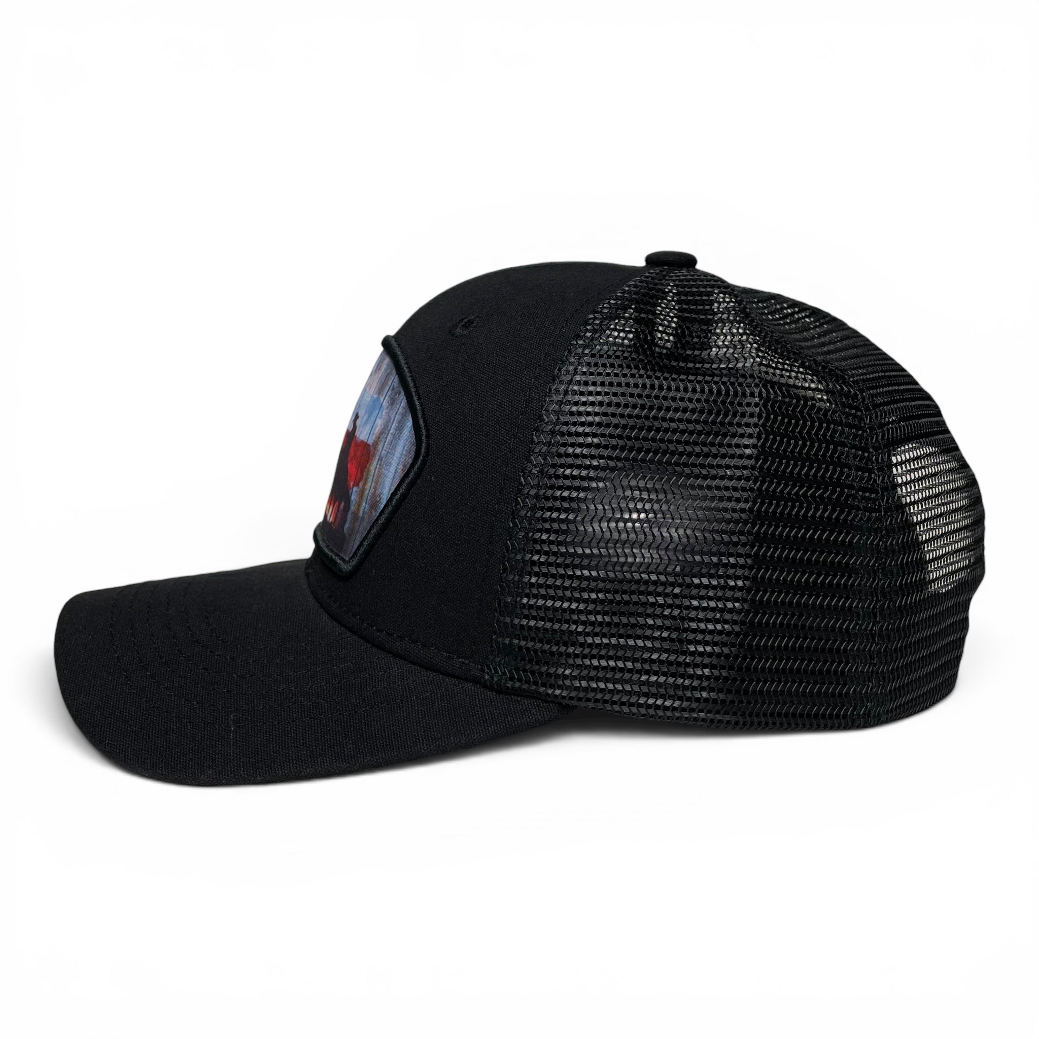 Lone Star State Texas Flag Snapback Baseball Cap, Mesh, Rodeo Style