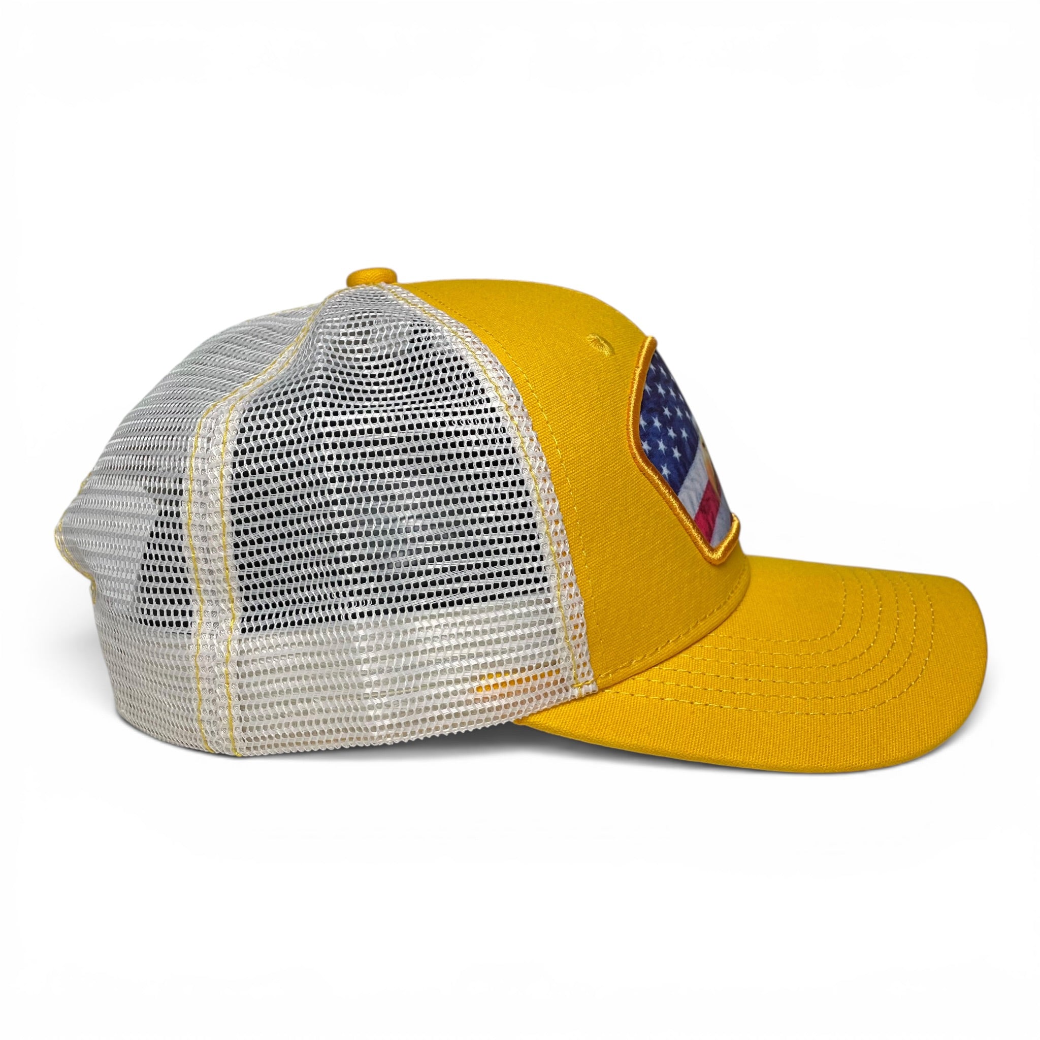 USA Flag Eagle Patch Snapback Cap