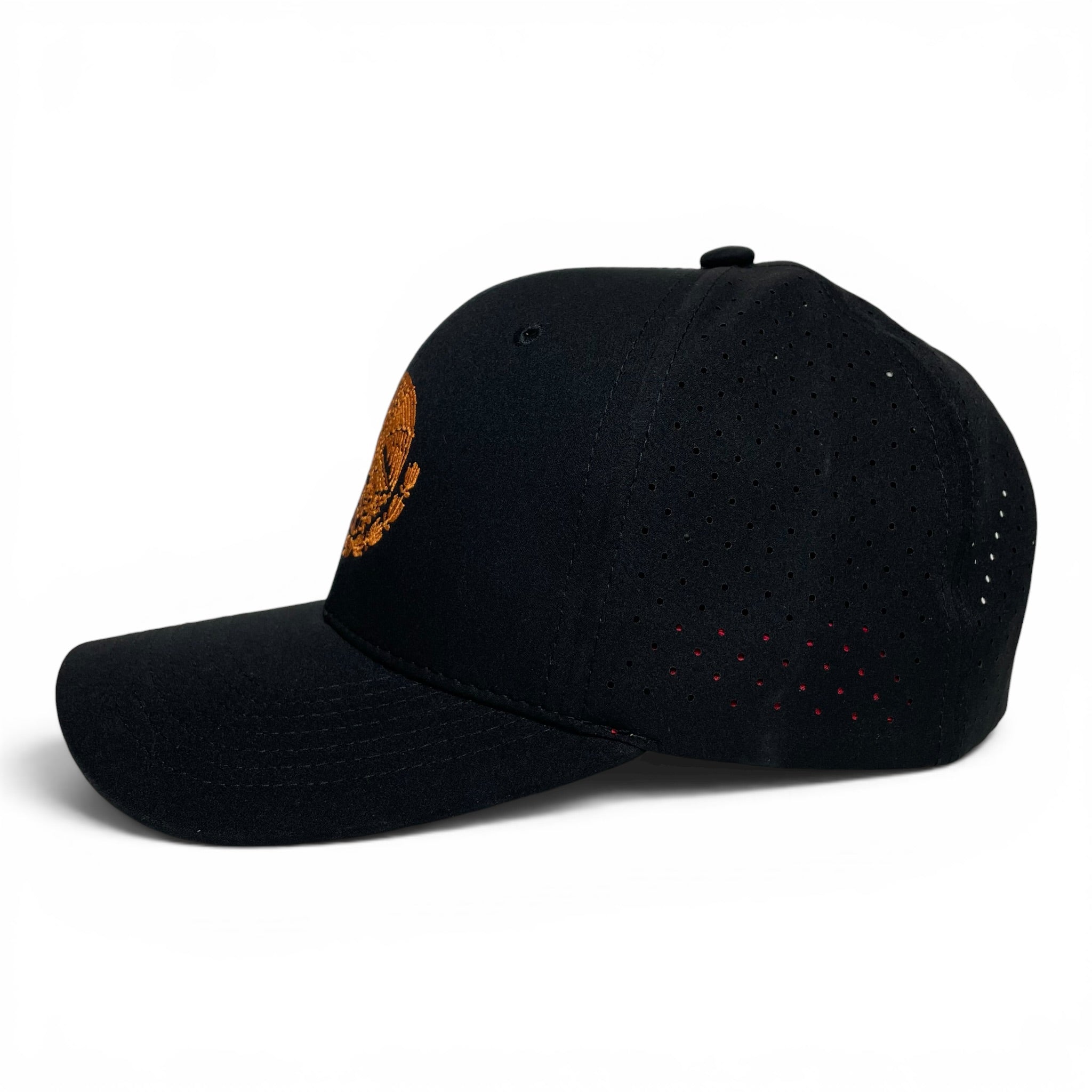 Mexico Eagle Federal Logo Snapback Hat, Black & Red, Curved Brim