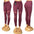 Women's High waist mesh cutouts leggings with mesh cutouts