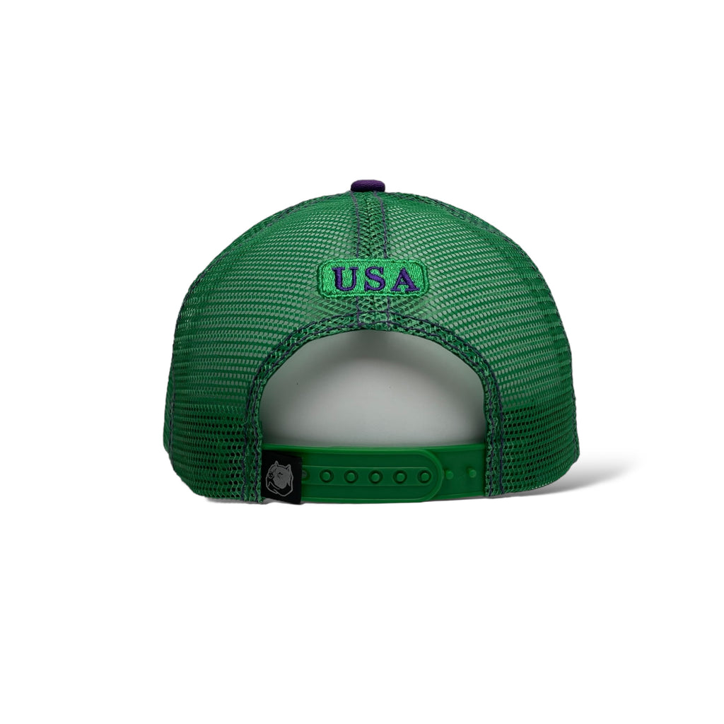 Wholesale Snapback Trucker Hat - USA Flag & American Bison - Green/Purple