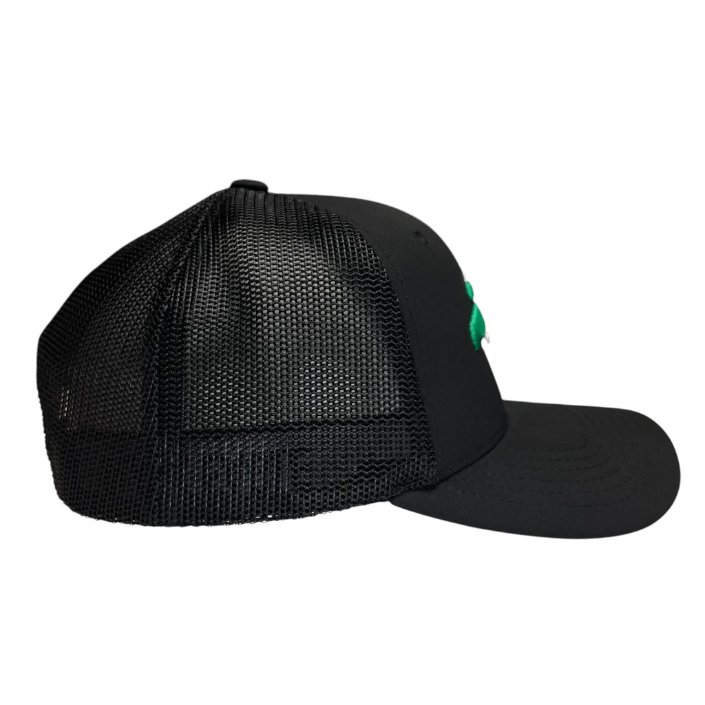 Black Hecho en Mexico Baseball Cap – Snapback with Eagle Logo