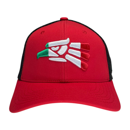 Hecho en Mexico Snapback Baseball Cap with Eagle Logo