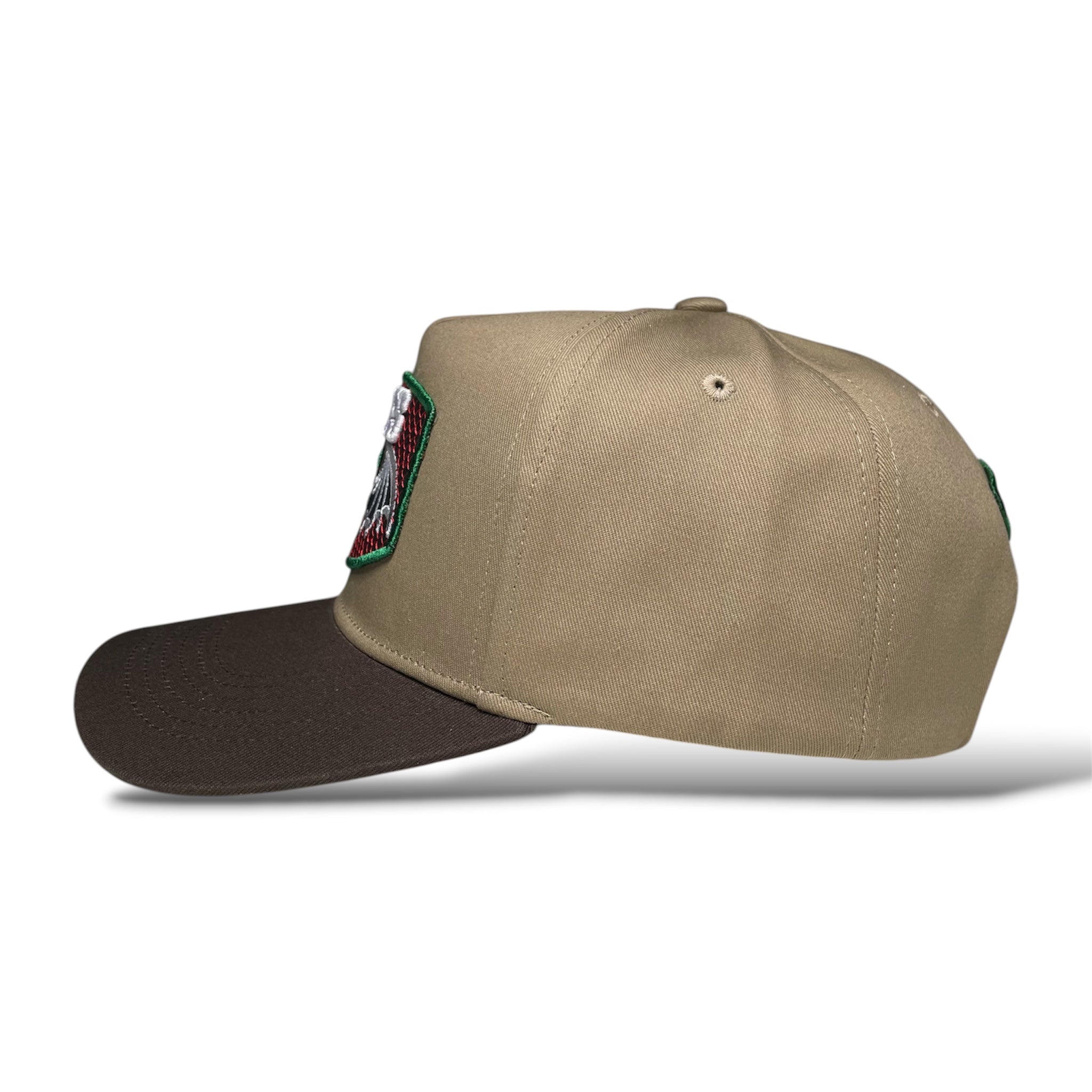 Gorra Snapback GAFES México y Murciélagos Bordados Color Café