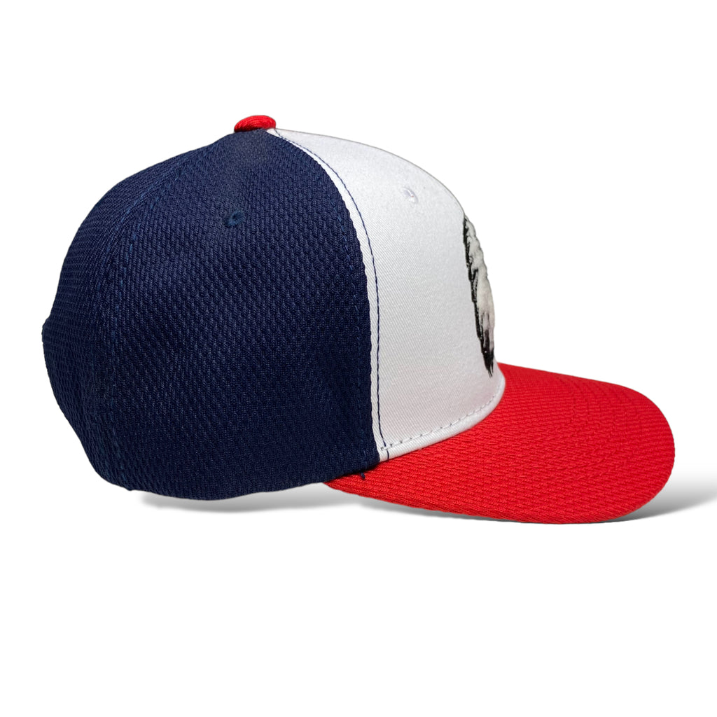 USA Eagle Patriot Embroidered Cap Adjustable